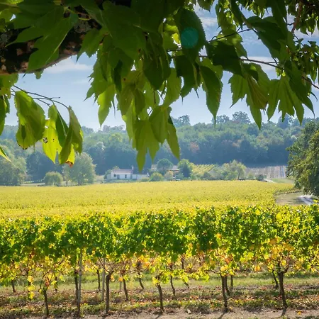 Gasthuis Barn - Tirecul - 24