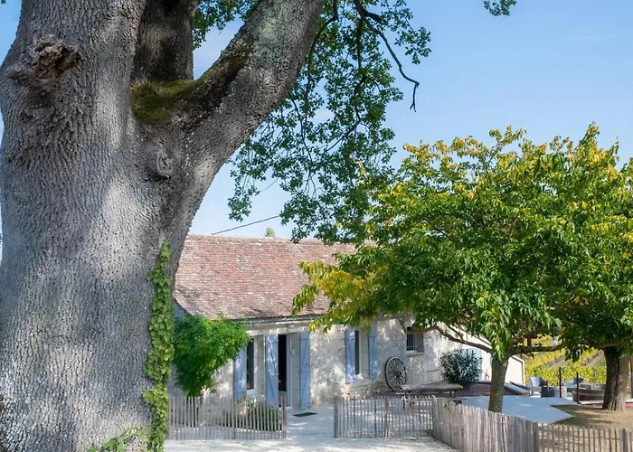 Barn - Tirecul - 24 Vendégház Monbazillac