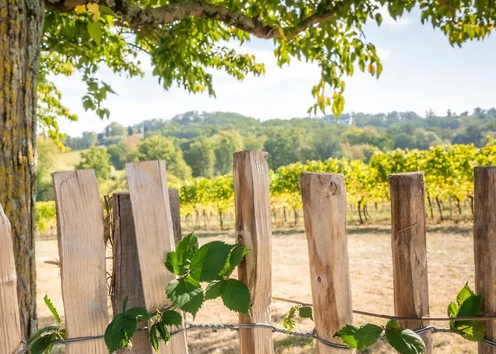 Barn - Tirecul - 24 4*